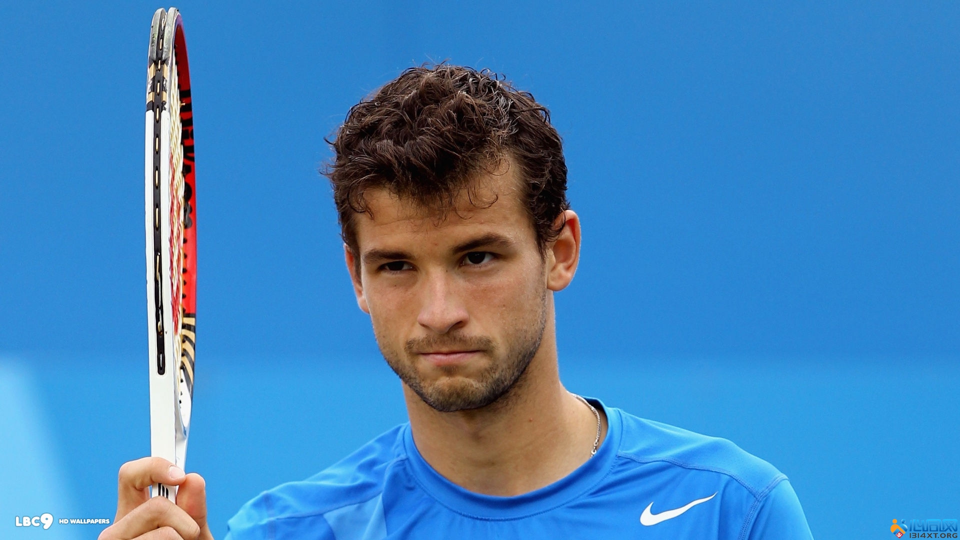 直升机能够 直升机能够