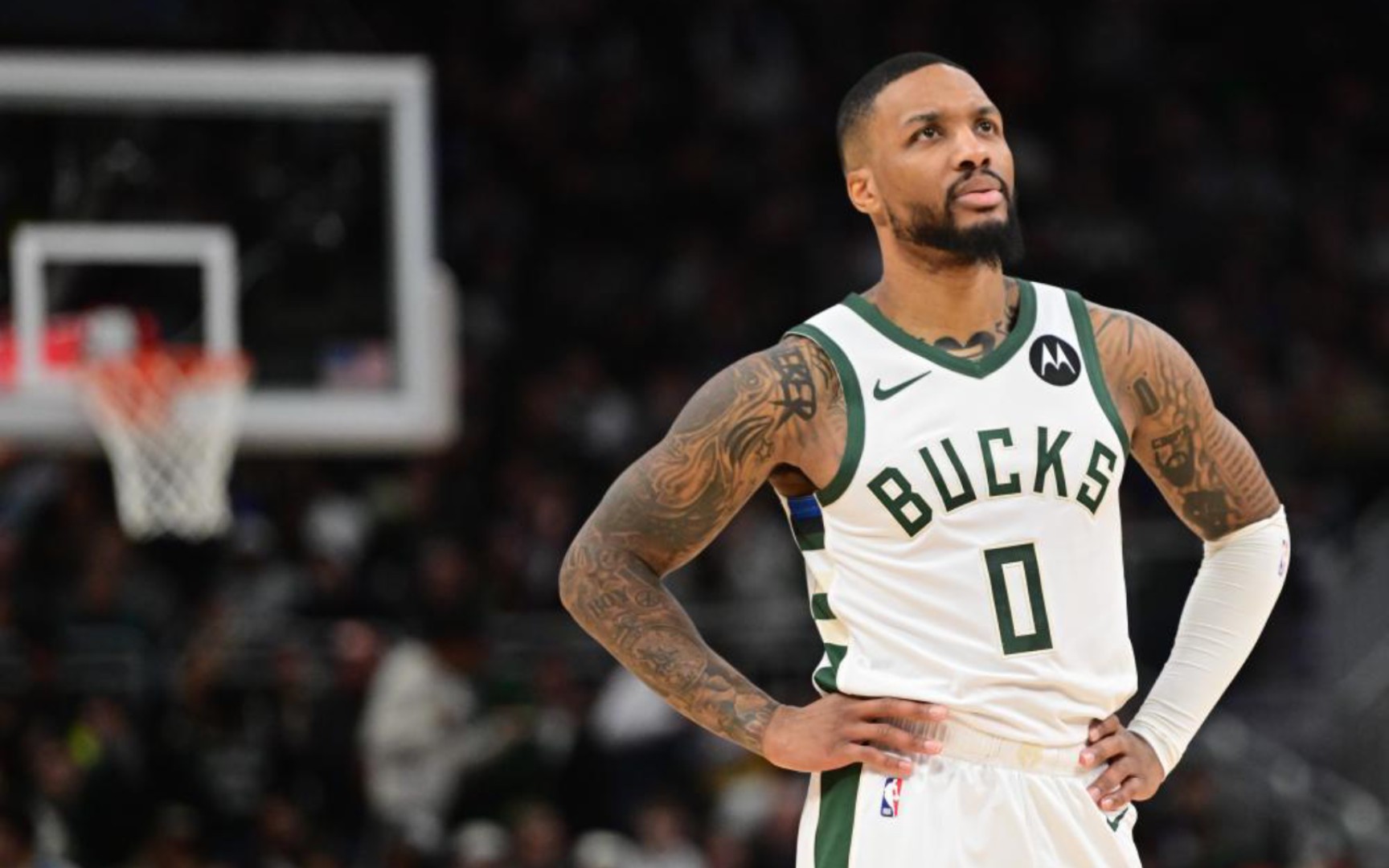 了丰富的视 了丰富的视